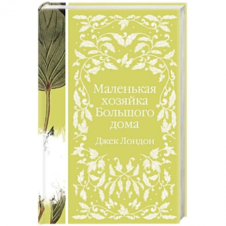 Классика, современная литература, книга Маленькая хозяйка Большого дома