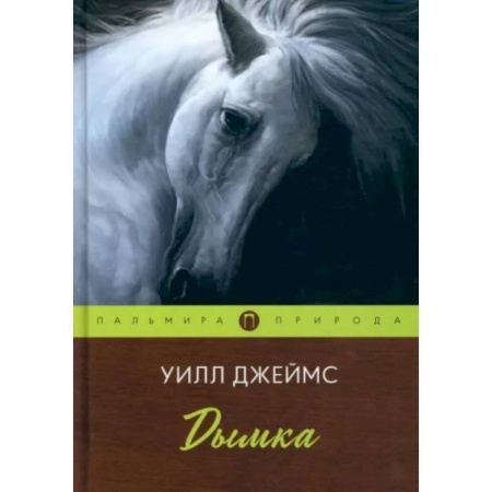 Классика, современная литература, книга Дымка