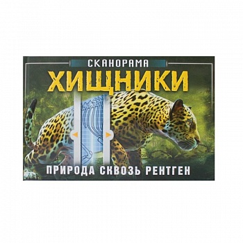 Хищники Хищники