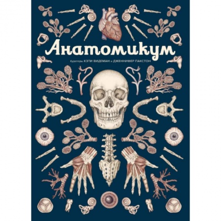 Познавательная литература, книга Анатомикум. Энциклопедия для детей