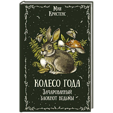 Магия и колдовство, книга Колесо года. Зачарованный блокнот ведьмы