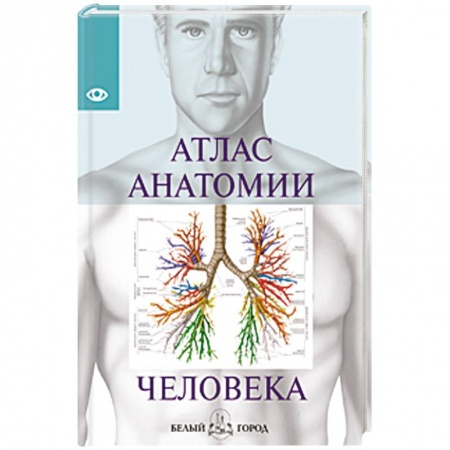 Книги, книга Атлас анатомии человека
