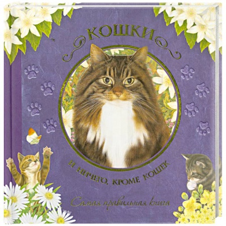 Книги, книга Кошки. И ничего кроме кошек. Самая правильная книга
