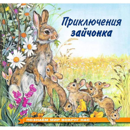 Познавательная литература, книга Приключения зайчонка