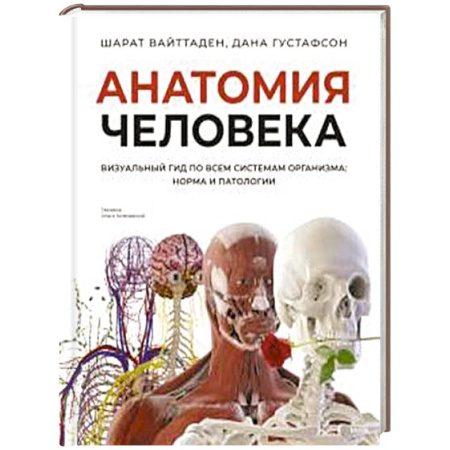 Медицинские энциклопедии и справочники, книга Анатомия человека. Визуальный гид по всем системам организма: норма и патологии