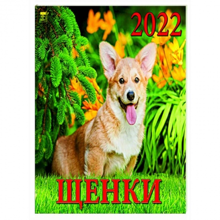 Книги, книга 2022 Календарь Щенки