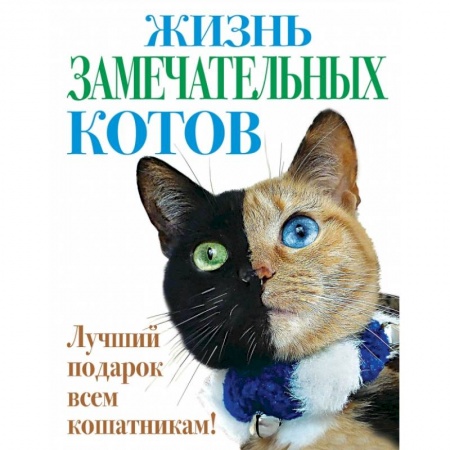 Книги, книга Жизнь замечательных котов