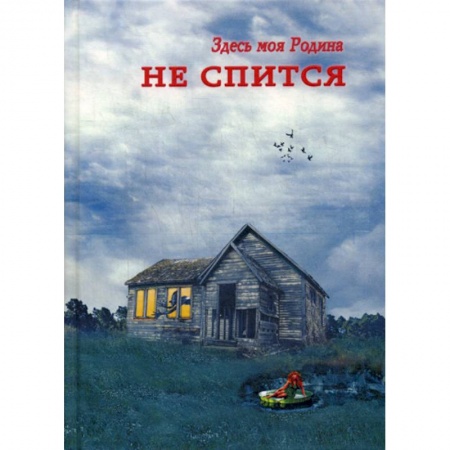 Классика, современная литература, книга Не спится