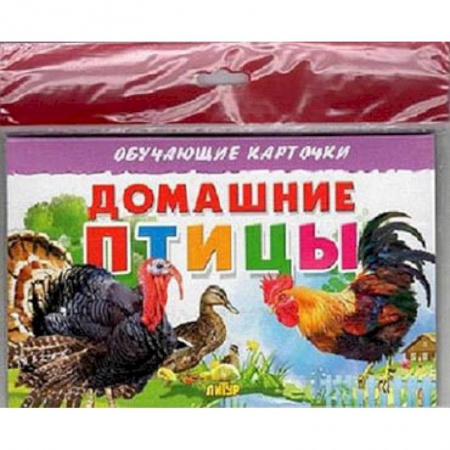 Познавательная литература, книга Домашние птицы
