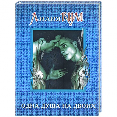 Классика, современная литература, книга Одна душа на двоих