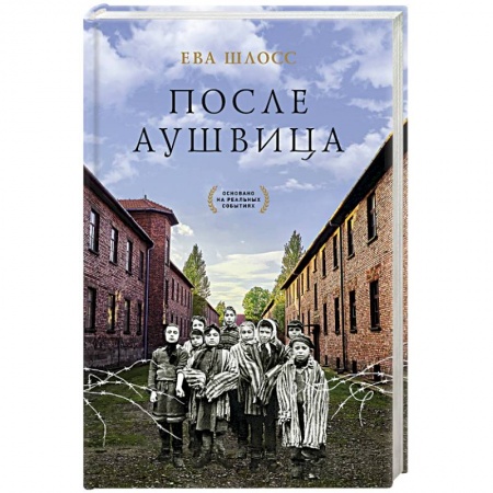 Публицистика, книга После Аушвица
