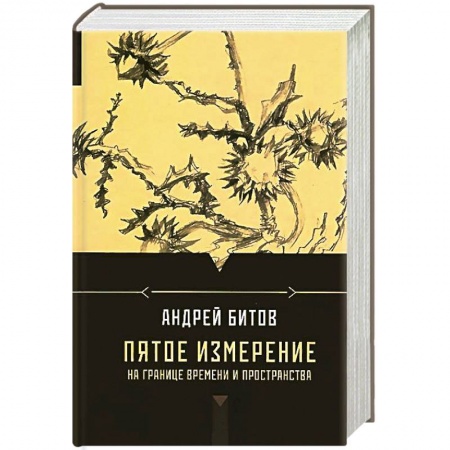 Книги, книга Пятое измерение. На границе времени и пространства