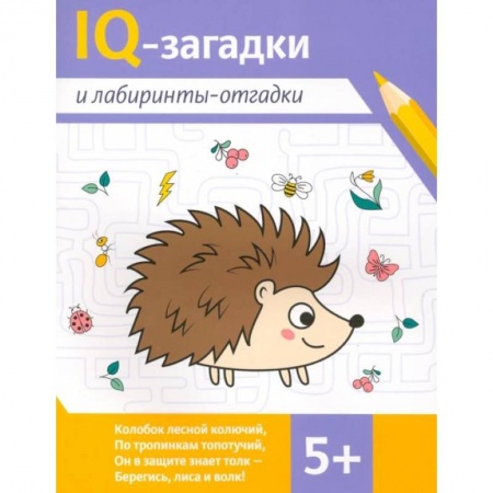 Досуг, творчество и кулинария, книга IQ-загадки и лабиринты-отгадки