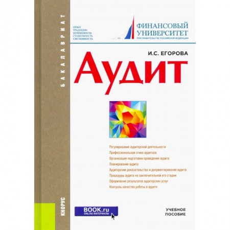 Бухгалтерский учет. Аудит, книга Аудит. Учебное пособие