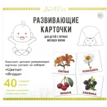 Познавательная литература, книга Развивающие карточки 'Цветы и ягоды' (40 карточек)