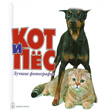 Книги, книга Кот и Пес