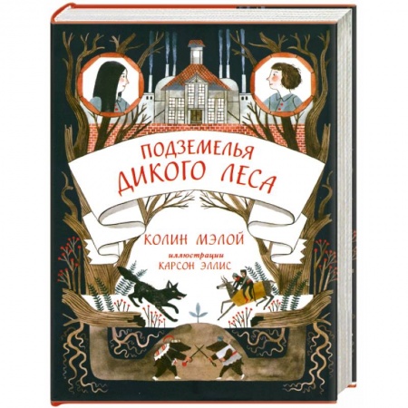 Книги, книга Подземелья Дикого леса