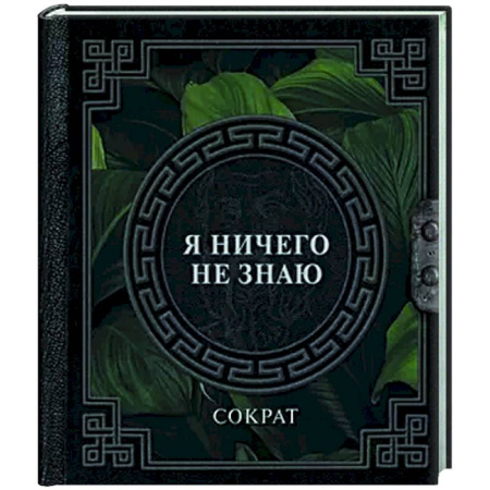 Общественные и гуманитарные науки, книга Я ничего не знаю