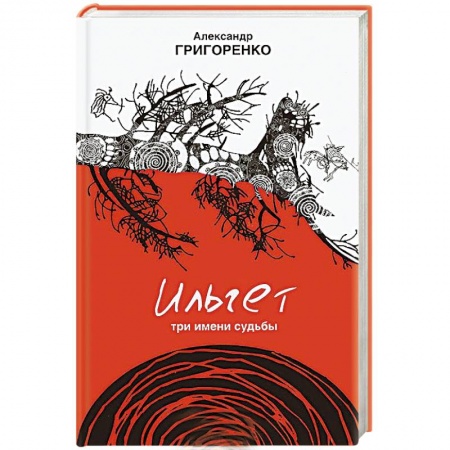 Книги, книга Ильгет