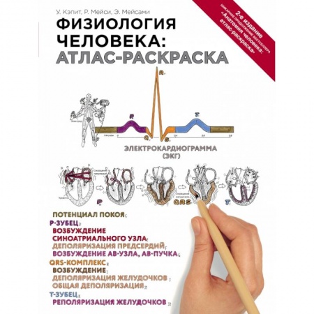 Медицинские энциклопедии и справочники, книга Физиология человека: атлас-раскраска