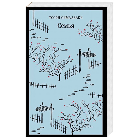 Классика, современная литература, книга Семья