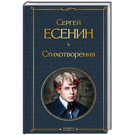 Классика, современная литература, книга Стихотворения
