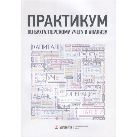 Учителям, педагогам, воспитателям, книга Практикум по бухгалтерскому учету и анализу
