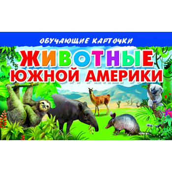 Карточки. Животные Южной Америки