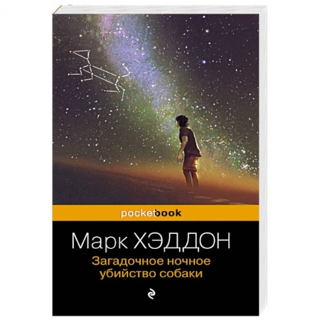 Классика, современная литература, книга Загадочное ночное убийство собаки