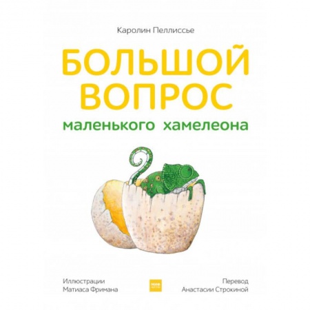 Сказки, книга Большой вопрос маленького хамелеона