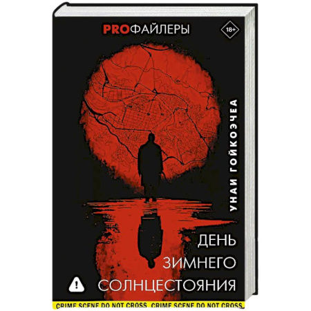Детективы, триллеры, книга День зимнего солнцестояния