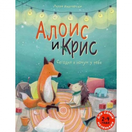 Классика, современная литература, книга Алоис и Крис. Сегодня я ночую у тебя