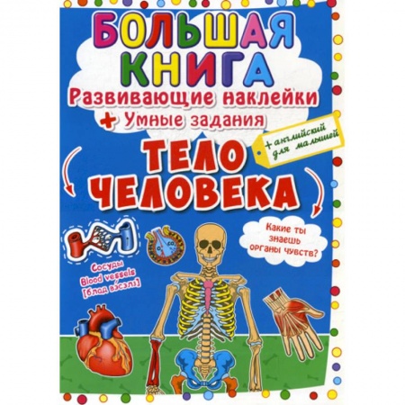 Дошкольникам, книга Большая книга. Тело человека