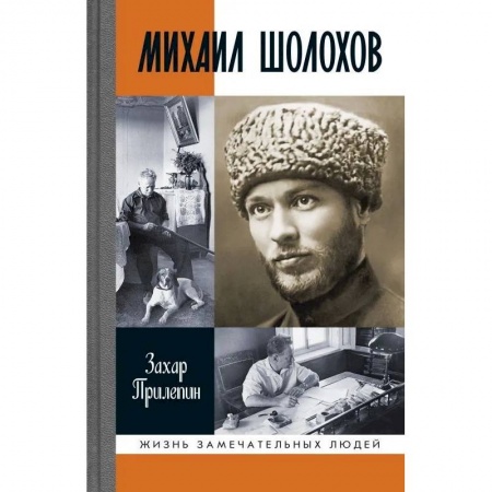 Мемуары, биографии, книга Михаил Шолохов. Незаконный