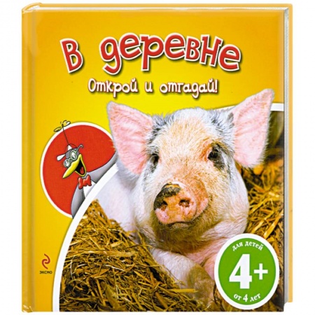 Книги, книга В деревне. 4+