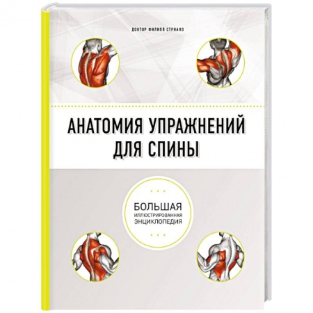 Спорт. Фитнес, книга Анатомия упражнений для спины