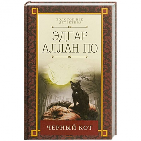 Детективы, триллеры, книга Черный кот