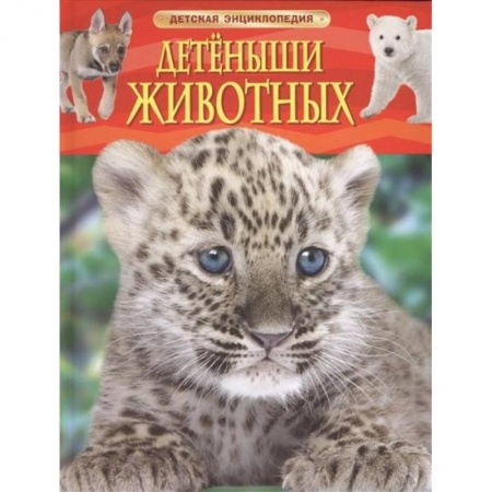 Книги, книга Детеныши животных
