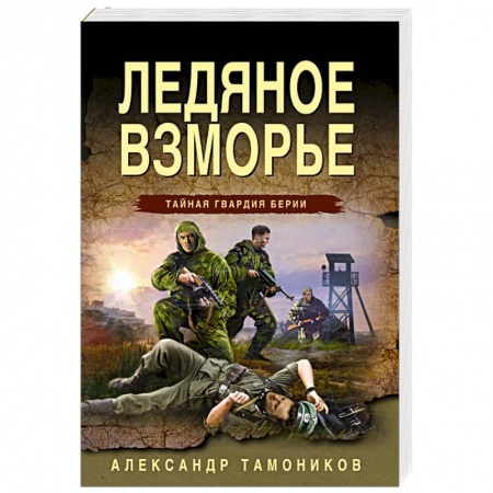 Детективы, триллеры, книга Ледяное взморье