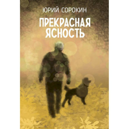 Классика, современная литература, книга Прекрасная ясность