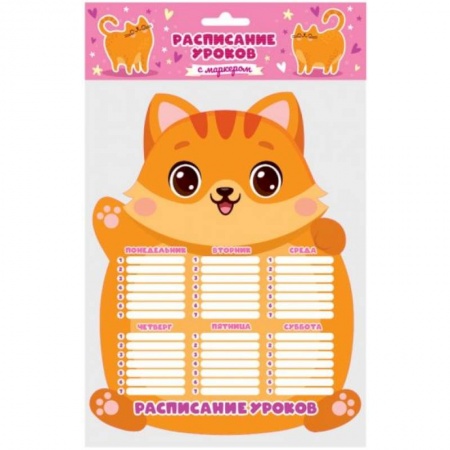 Книги для дошкольников (4-6 лет), книга Милый котик.Расписание уроков