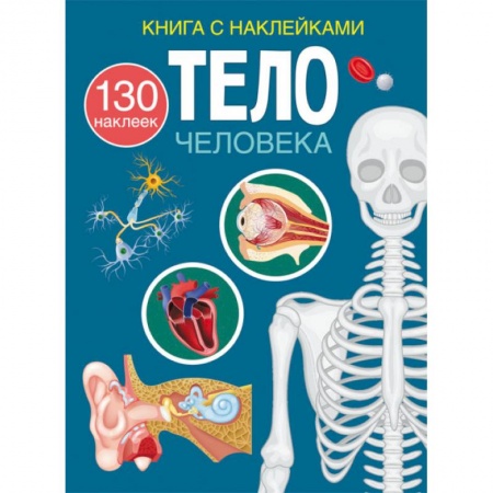 Познавательная литература, книга Книга с наклейками. Тело человека