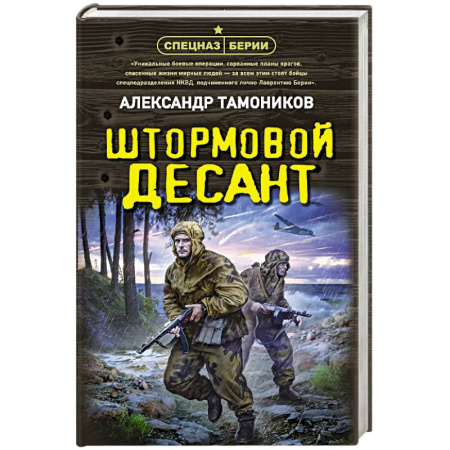 Детективы, триллеры, книга Штормовой десант