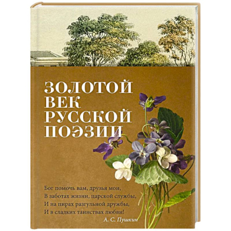 Классика, современная литература, книга Золотой век русской поэзии