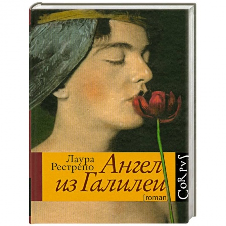 Книги, книга Ангел из Галилеи