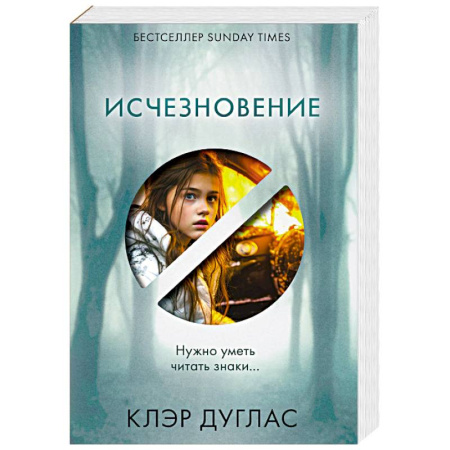 Детективы, триллеры, книга Исчезновение