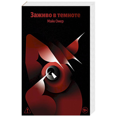 Детективы, триллеры, книга Заживо в темноте (#2)