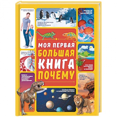Познавательная литература, книга Моя первая большая книга ПОЧЕМУ