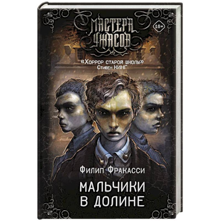 Фантастика, фэнтези, книга Мальчики в долине