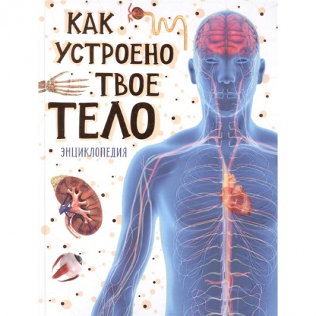 Познавательная литература, книга Как устроено твое тело. Энциклопедия